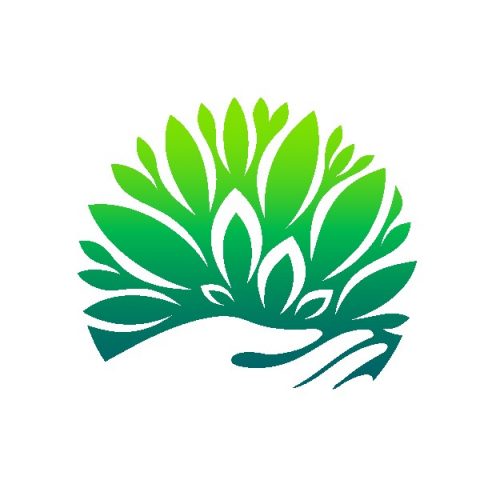 Eco, organic, bio icon set. Vector icon design for wellness, spa, pharmacy